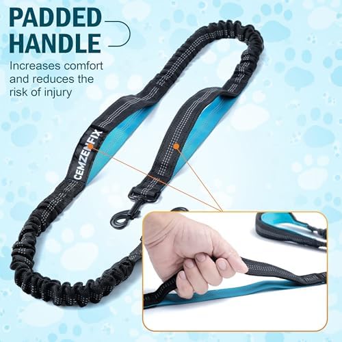 Hands Free Dog Leash for 2 Dogs, Waist Leash with Dual Bungee - Image 3