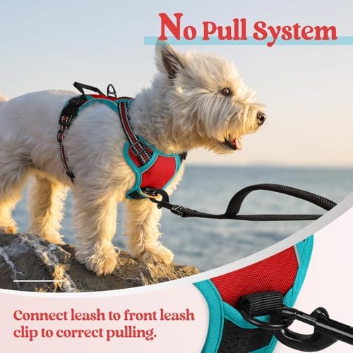 rabbitgoo Dog Harness, No Pull for Small Dogs with 2 Leash Clips, Pet Vest - Image 5