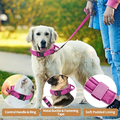 Tactical Dog Collar Heavy Duty Metal Buckle with Handle for Dog Training - Image 4