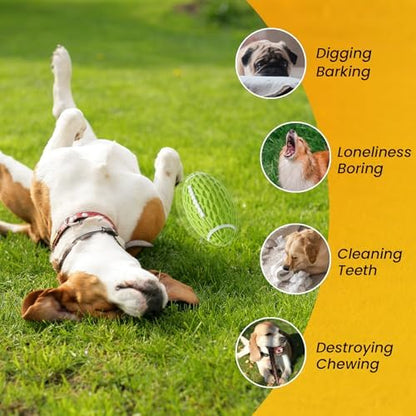 Puppy Toy, 3 Pack Interactive Squeaky Dog Balls for Small Dogs - Image 4