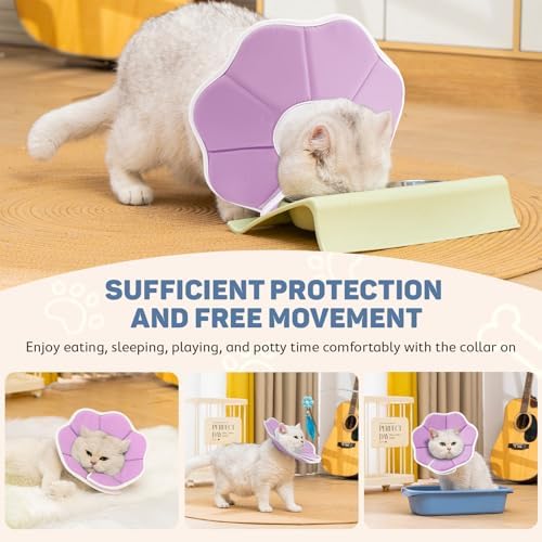 Avont Cat Cone S Adjustable Soft E-Collar, Purple - Image 2