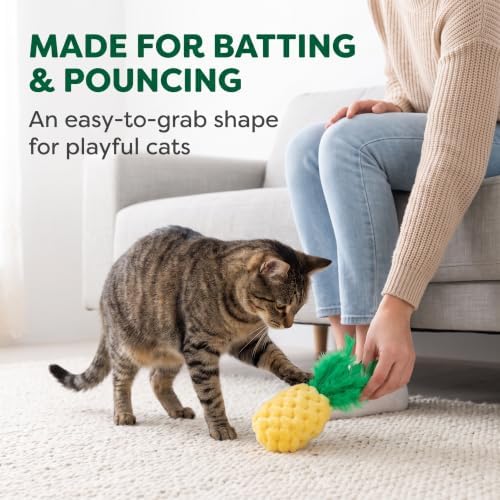 BWESOO Pineapple Shape Cat Chew Toy - Catnip Molar Toys Teeth Cleaning Toy Pet Bite Resistant Pet Supplies,Fun Toy for Exercise Interactive Plush Playing Toy for Cat Kitten Yellow - Image 5