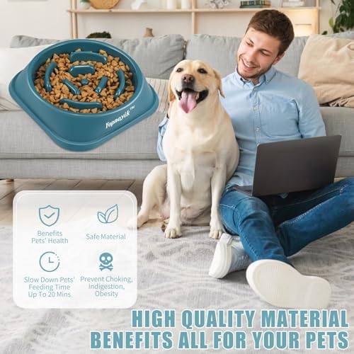 Slow Feeder Dog Bowls for Medium Dogs & Cats - Image 5