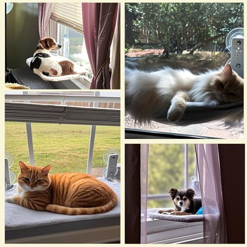 Cat Window Perch, Cordless Foldable Cat Hammock for Indoor Cats with Upgraded Suction Cups Strong Metal Frame Holds Up to 44lbs (M 1PC) - Image 6