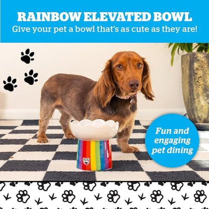 Rainbow Elevated Cat Bowl - Raised Cat Bowl - Lifted Pet Food, Water - Ceramic Feeder - Feeding Bowls for Small Dog - Image 2