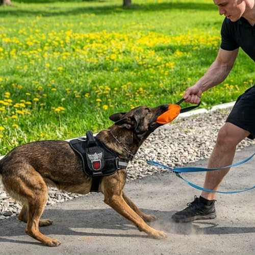 Dingo Gear Dog tug Toy, French Linen, disc, Orange 10,6in - Image 6