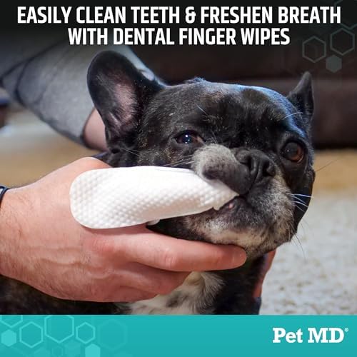 Pet MD Pet Dental Finger Wipes for Dogs - Fresh Apple & Mint Flavor - 50ct - Image 2