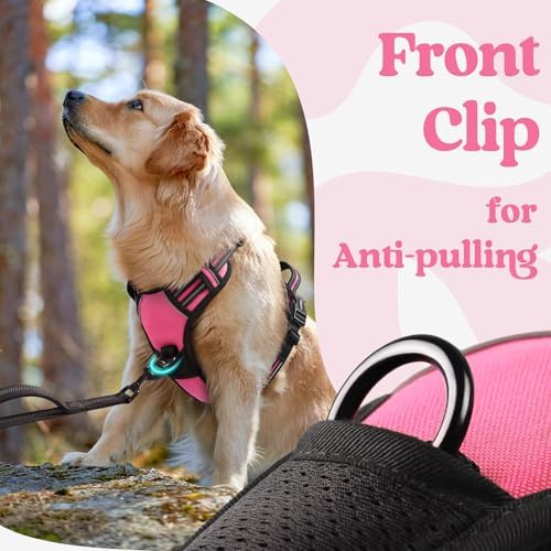 rabbitgoo Dog Harness for Large, Updated Easy On & Off with 3 Buckles - Image 6