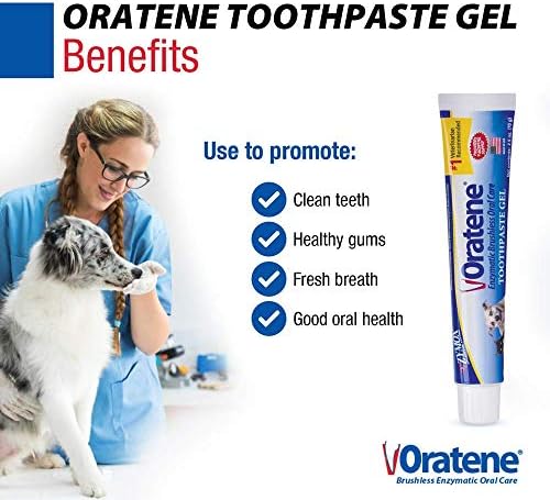 Pet King Brands ZYMOX Oratene Brushless Toothpaste Gel for Dogs and Cats, 2.5oz - Image 2