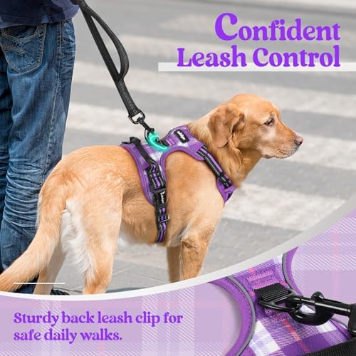 rabbitgoo Dog Harness, No Pull for Large Dogs with 2 Leash Clips, Pet Vest - Image 6
