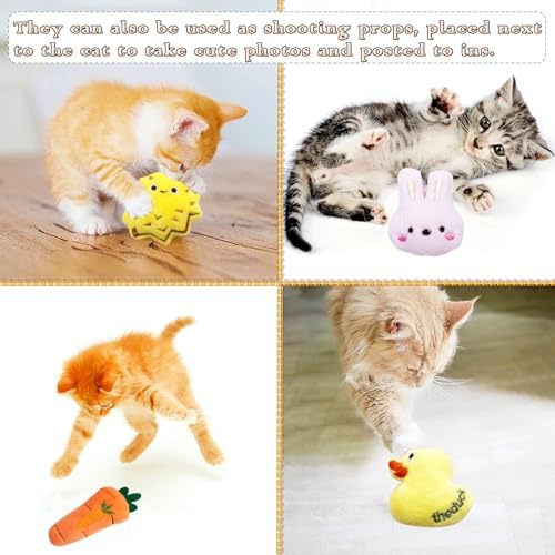 Mini Cat Catnip Toys for Indoor Cats 10 Pack - Image 4
