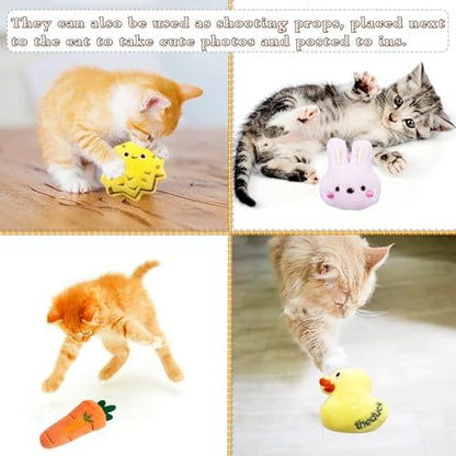 Mini Cat Catnip Toys for Indoor Cats 10 Pack - Image 4