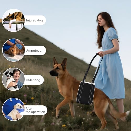 AIITLE Adjustable Dog Sling Dog Lift Harness Hind Leg Support, Black XL - Image 4