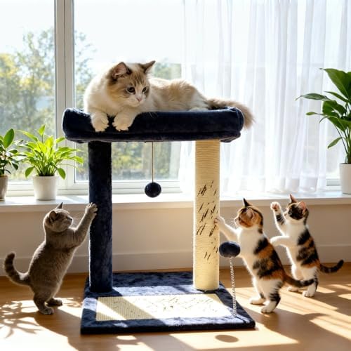 Cat Tree, 19.69" H(50cm) Cat Scratching Post with Cat Bed, Scratching Posts for Indoor Cats with Two Plush Balls Toy, Small Cat Tree for Kittens/Cats Playing and Relaxing by Unknown