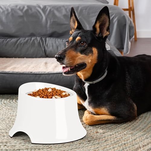 Tilted Elevated Dog Bowls Non-Slip & Non-Spill Pet Feeder with Elevated Detachable Melamine Stand, High Capacity Tilted Dog Bowl for Medium Small Size Dogs M/2 Cup White - Image 6