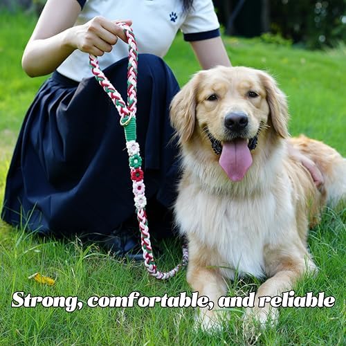 5FT Braided Cotton Rope Leash for Small, Medium and Large Dogs, Strawberry - Image 5