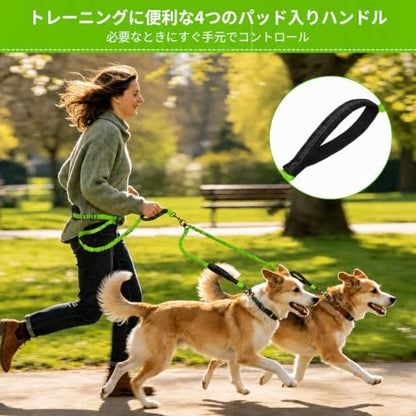 Hands Free Double Dog Leash, 4 Reflective Padded Handles, Adjustable Waist Belt 27-51", Shock-Absorbing Bungee, 360° Swivel Clips, for Small, Medium & Large Dogs, Walking Jogging Running - Image 3