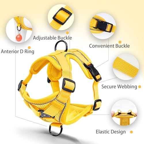 Dog Harness Medium Sized Dog Pet Vest with Leash Set Yellow L - Image 4