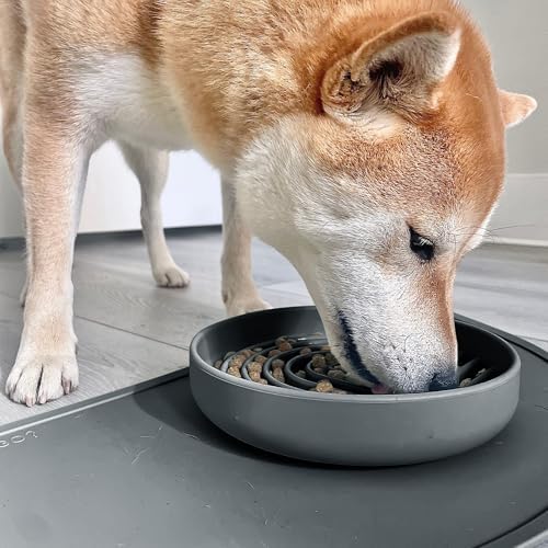 Slow Feeder Dog Bowl - Silicone Dog Bowl, Medium, 7.5" x 1.5" - Charcoal - Image 2