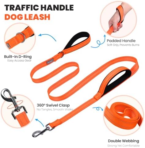 VIVAGLORY Double Handle Dog Leash Twingrip, 5ft x 1in, S, Orange - Image 3