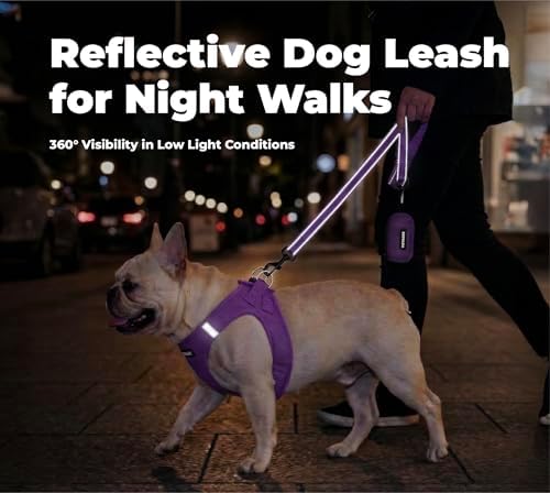 Best Pet Supplies Voyager Nylon Dog Leash - 6ft Purple, Large - Image 4