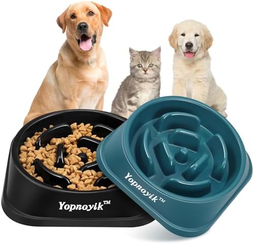 2 Pack Slow Feeder Dog Bowls for Medium Dogs & Cats by Yopnoyik