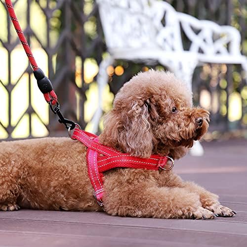 Plutus Pet No Pull Dog Harness for Puppy Small Dogs, Breathable Mesh Padded - Image 5