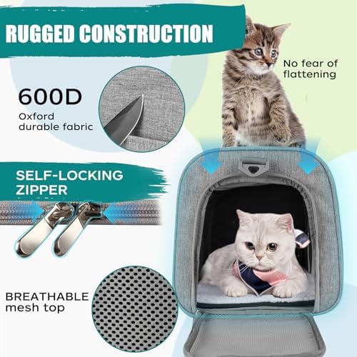 Top tasta Dog Cat Carrier Pet Carriers for Small Medium Large Cats Dogs Carrier Soft Sided Small Puppy Dog Carrier Portable Foldable Airline Approved Dog Cat Travel Carrier Grey Medium - Image 3