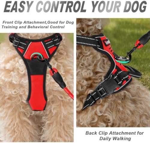 BARKBAY Dog Harness No Pull for Small Sized Dog Front Back Clips,Dog Vest - Image 2