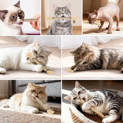 5 Pack Silvervine Sticks Cat Toys, Natural Chew Kitten Teething Toys for Cleaning, Matatabi Catnip Treat Toys, Catmint Silver Vine Sticks for Bored Indoor Kitty - Image 7