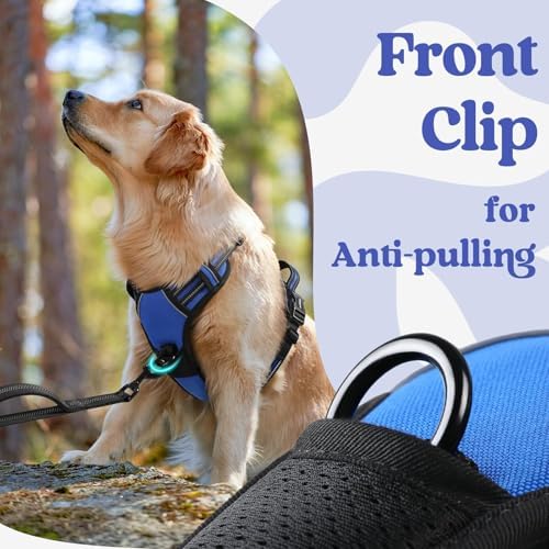 rabbitgoo Dog Harness for Large, Updated Easy On & Off with 3 Buckles - Image 6