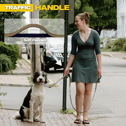 Fida Heavy Duty Dog Leash for Medium Large Dogs, 4 FT, Dual Padded Handles - Image 5