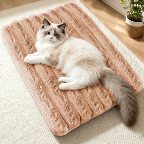 Cat Bed Mat for Indoor Cats, Self Warming Plush Cat Bed, Light Coffee by NODARKO
