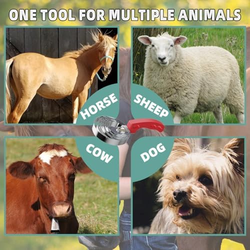 6 Rings Curry Comb Horse Brush, Horse Grooming Supplies for Horses - Image 6