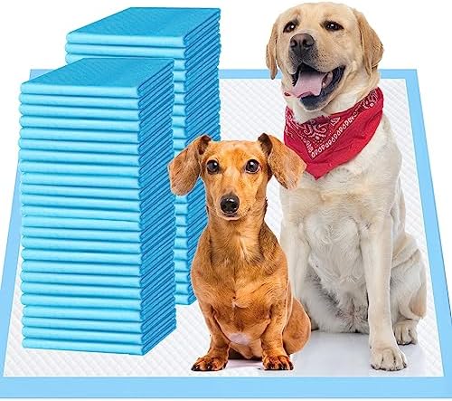 Upgrade Leak-Proof Pet Training and Puppy Pads, Jumbo Pee Pads for Dogs with Thicken Polymer Heavy Absorbency, Quick Dry Disposable Pee Pads for Cats Dogs - 50 Counts by Bulubaky