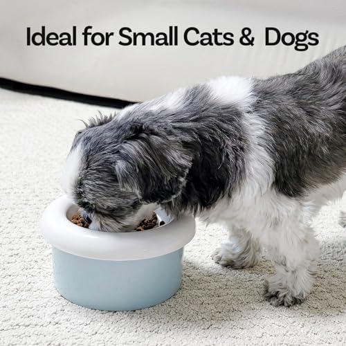 Donut Bowl Elevated Ceramic Cat Bowl with Stand, Raised Whisker-Friendly Bowl for Cats & Small Dogs, Patented Donut Design, Made in Korea (3.9" H -Gray) - Image 3