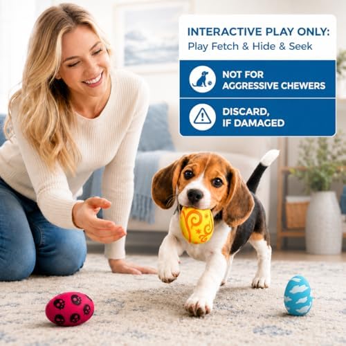 SunGrow Dog Chew Toy, Natural Rubber Squeaker, Interactive Fetch Ball, 3 Pc - Image 2