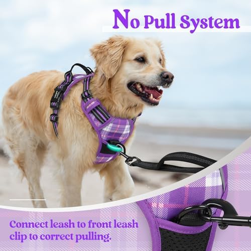 rabbitgoo Dog Harness, No Pull for Large Dogs with 2 Leash Clips, Pet Vest - Image 5