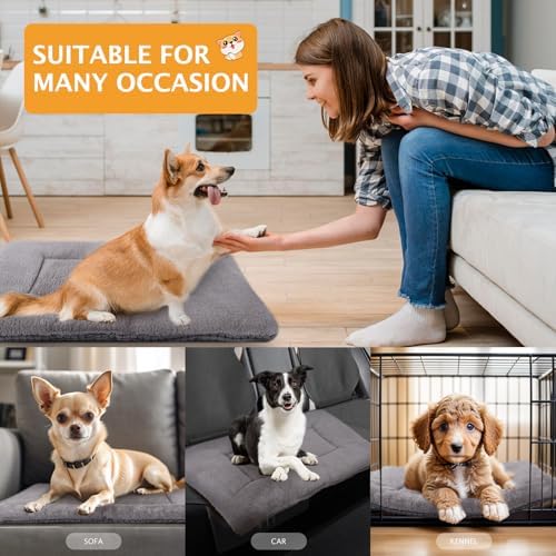 Reversible Dog Bed Mat with Plush and Corn Velvet,Soft Warm Pet Cushion, Dual Purpose Washable Sleeping Mattress Bed for Small Medium Large Dog and Cat XB004 (24"x18", Light Grey) - Image 2
