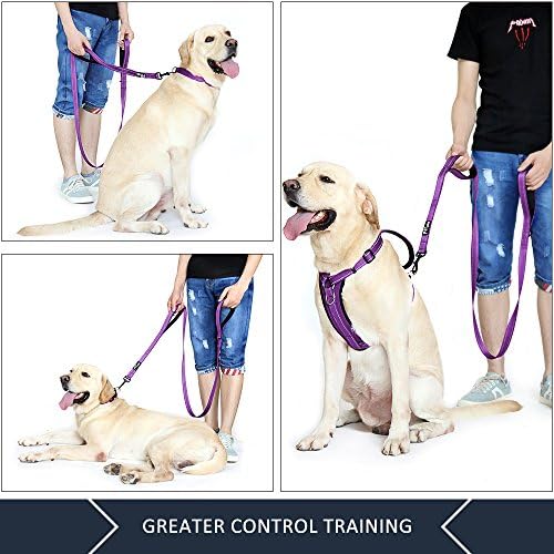 Plutus Pet Double Handle Dog Leash, 4 FT Long, for Medium Large Dogs - Image 3