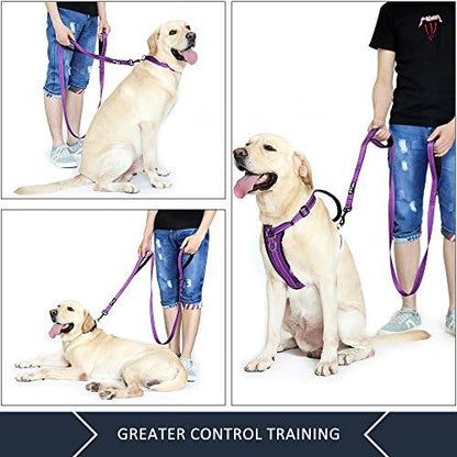 Plutus Pet Double Handle Dog Leash, 5 FT Long, for Medium Large Dogs - Image 3