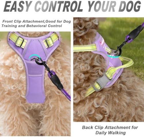 BARKBAY Dog Harness No Pull for Small Sized Dog Front Back Clips,Dog Vest - Image 2