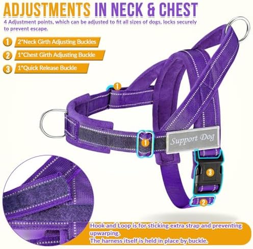 SlowTon No Pull Dog Harness and Leash Set - Heavy Duty, Soft Padded - Image 5