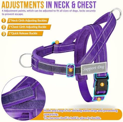 SlowTon No Pull Dog Harness and Leash Set - Heavy Duty, Soft Padded - Image 5