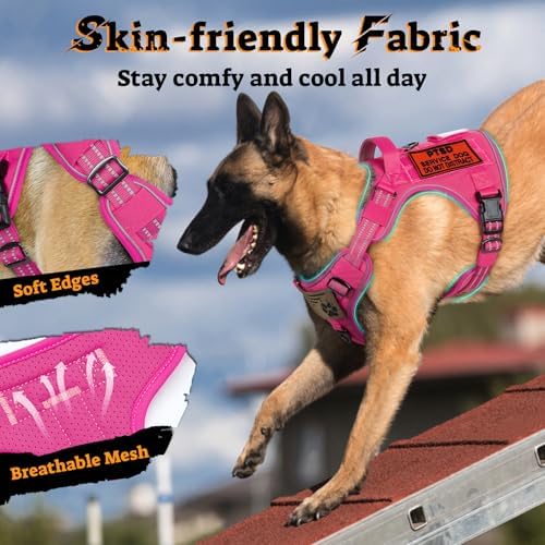 rabbitgoo Tactical Dog Harness for Small Dogs, No Pull Service Pet Vest - Image 6