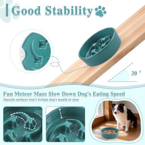 Ceramic Slow Feeder Dog Bowls,0.6 Cups Dog Food Dish for Small Medium Dogs - Image 3