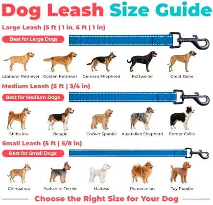 Best Pet Supplies Voyager Nylon Dog Leash - Royal Blue, Medium - Image 6