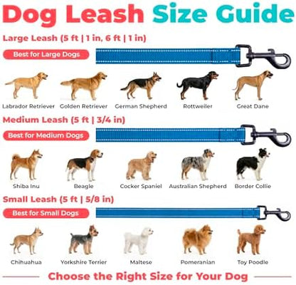 Best Pet Supplies Voyager Nylon Dog Leash - Royal Blue, Medium - Image 6