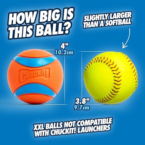 Chuckit! Ultra Ball Dog Toy, Size XXL, 4-in Diameter, for Dogs 100+lbs - Image 2