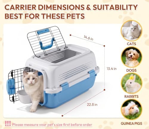 Dog & Cat Hard Carrier, 23IN Two-Door Plastic Pet Kennel with Ventilation - Image 2